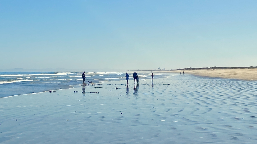 3 Bedroom Property for Sale in Atlantic Sands Private Estate Western Cape